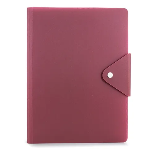 CARTELLA "CONGRESISTA"