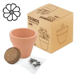 VASO TERRACOTTA CON SEMI DI COSMEA "FLORAL"