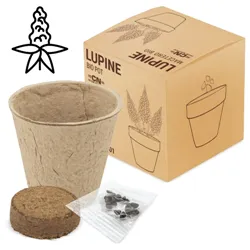 VASO CON SEMI BIO "RAMILLETE" (LUPINO)