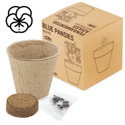VASO CON SEMI BIO "RAMILLETE" (PANSÉ)