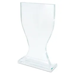 TROFEO VETRO "CHAMPI"