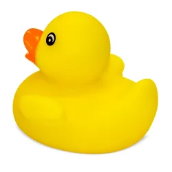 Paperella di gomma “petri” · 10886-AM 2