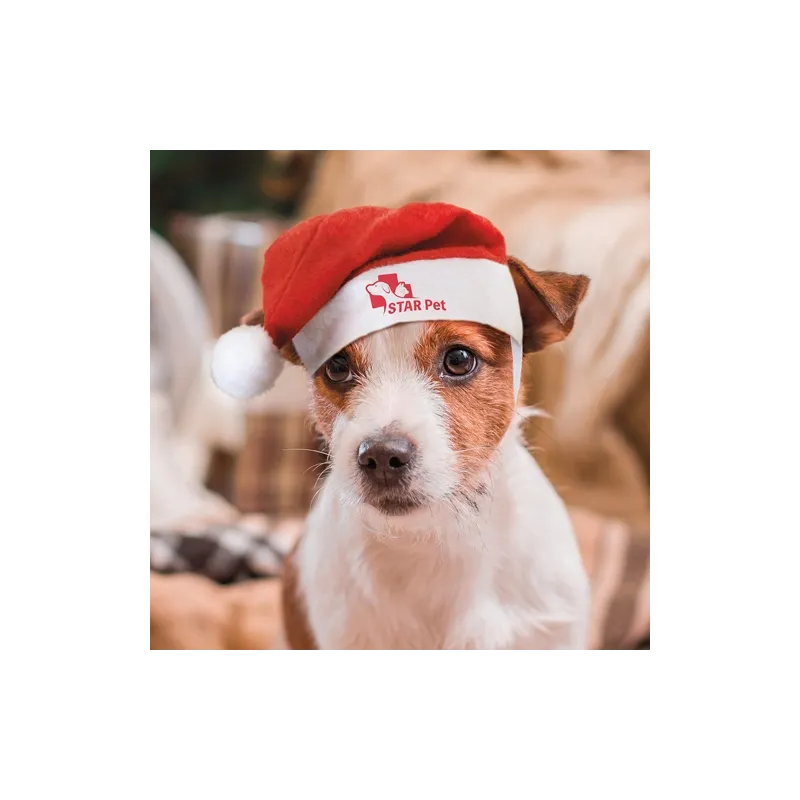 Cappello natalizio mascotte "pipo" · 10632