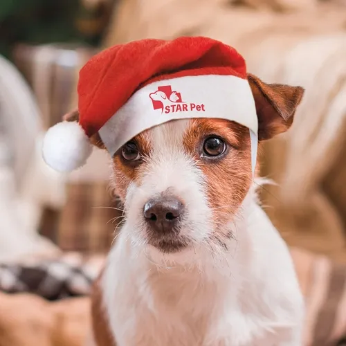 Cappello natalizio mascotte "pipo" · 10632